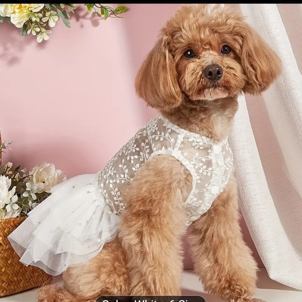 Elegant White Lace Dog Dress Size S